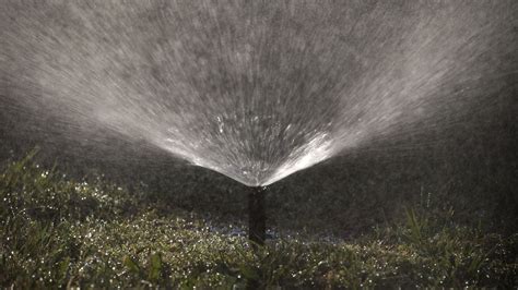 frisco utilities|frisco hills water bill.